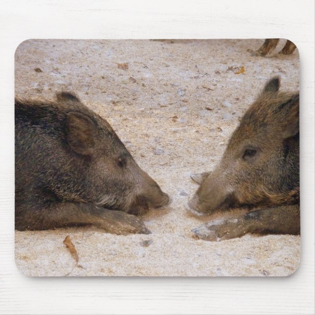 Wild boar - Wild Hog Mouse Pad (Front)