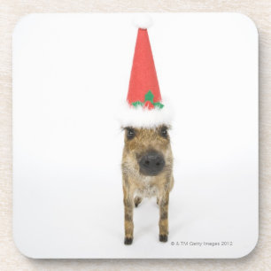 Wild boar with Christmas hat Coaster
