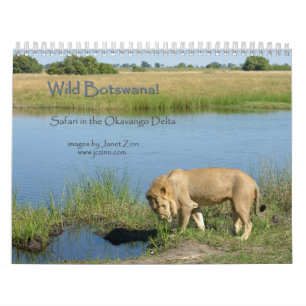 Wild Botswana! Safari in the Okavango Delta Calendar