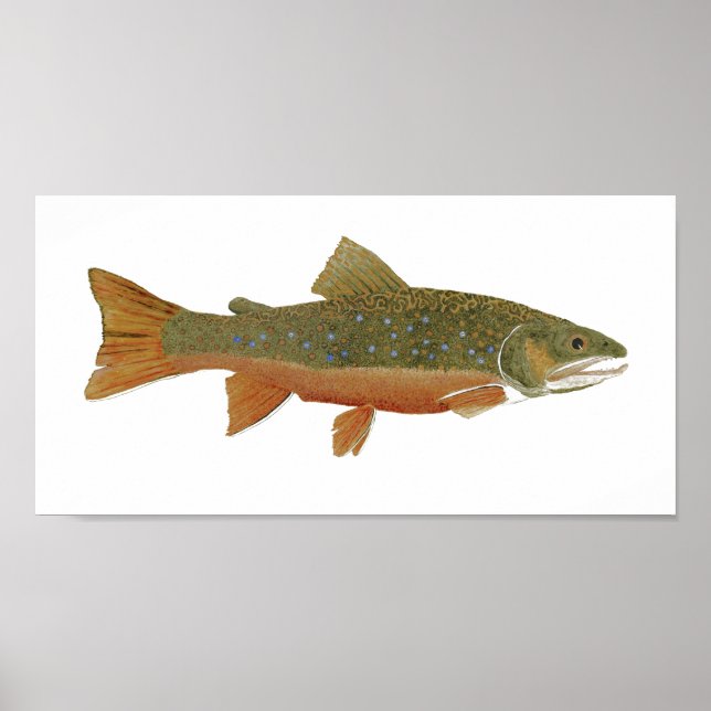 Wild Brook Trout Poster (Front)