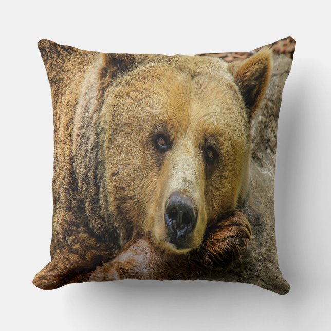 Wild Brown Bear Cushion (Front)