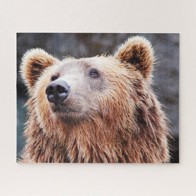 Wild Brown Bears. Jigsaw Puzzle (Horizontal)