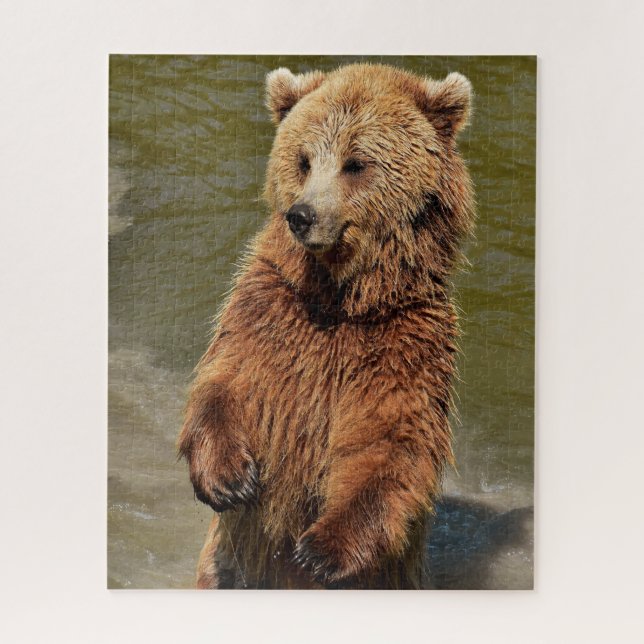 Wild Brown Bears. Jigsaw Puzzle (Vertical)