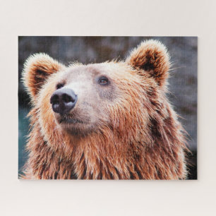 Wild Brown Bears. Jigsaw Puzzle