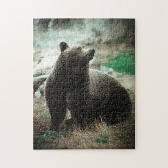 Wild Brown Grizzly Bear Forest Nature Scenery View Jigsaw Puzzle (Vertical)