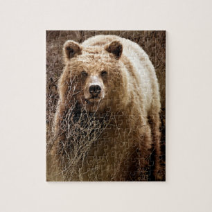 Wild Brown Grizzly Bear - Wilderness Jigsaw Puzzle