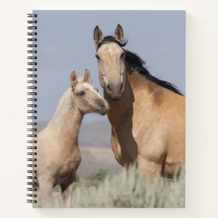 Wild Buckskin Mare and Foal Planner Notebook