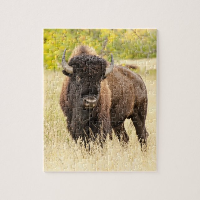 Wild Buffalo in a Field Jigsaw Puzzle (Vertical)