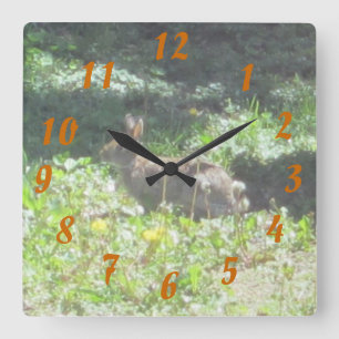 Wild Bunny Clock