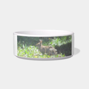 Wild Bunny Pet Bowl