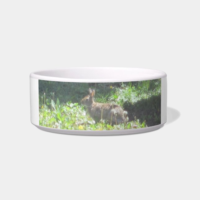 Wild Bunny Pet Bowl (Front)
