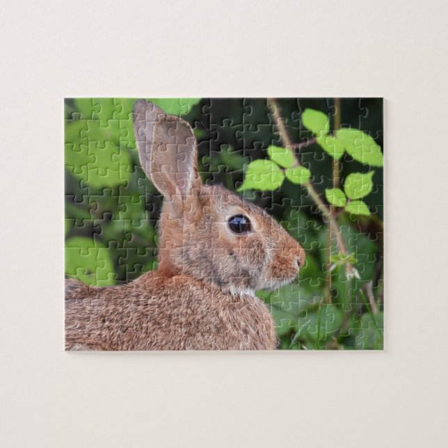 Wild Bunny Rabbit Close Up Jigsaw Puzzle (Horizontal)