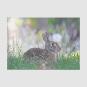 Wild Bunny Rabbit in The Grass Tissue Paper