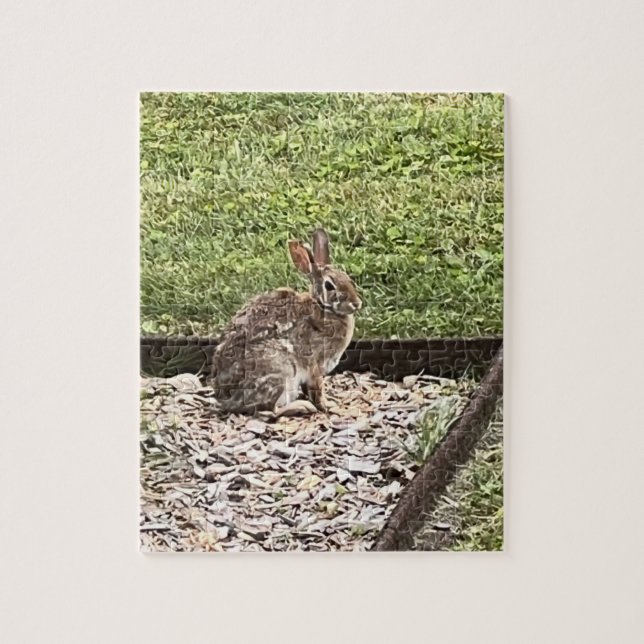 Wild bunny rabbit sitting on the path puzzles (Vertical)