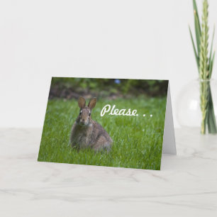 Wild Bunny Valentine Holiday Card