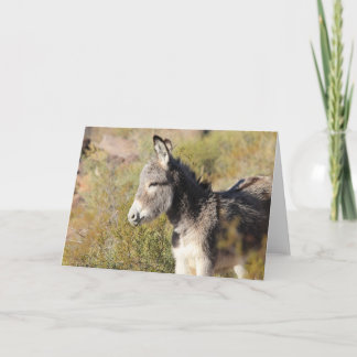 Wild Burro Greeting Card