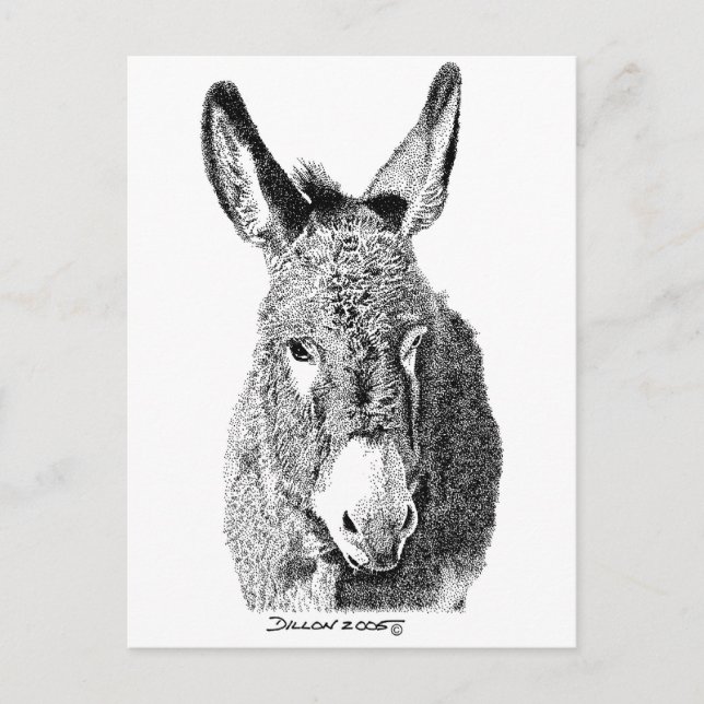Wild Burro Postcard (Front)