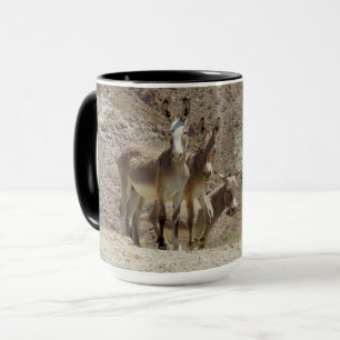 Wild burros, donkeys, wildlife, mugs