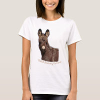Wild Burros Forever