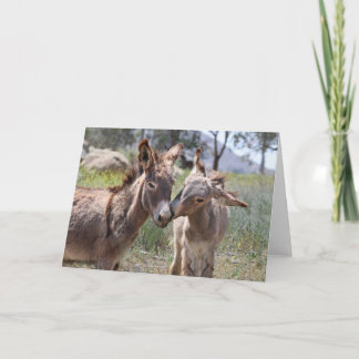 Wild Burros Greeting Card