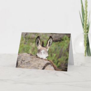 Wild Burros Greeting Card