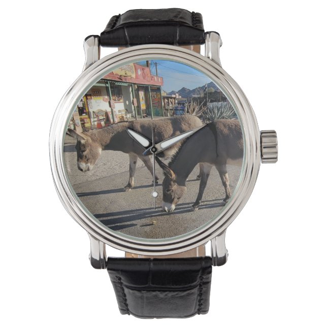 Wild Burros in Oatman, Arizona Watch (Front)
