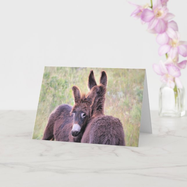 Wild Burros of the West Card (Orchid)
