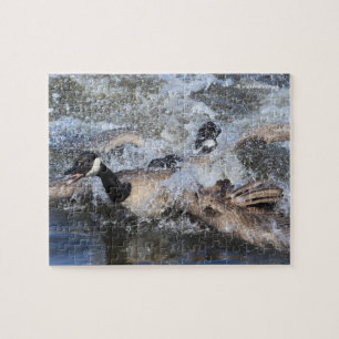 Wild (Canada) Goose Chase: The Spat at Piper Spit Jigsaw Puzzle