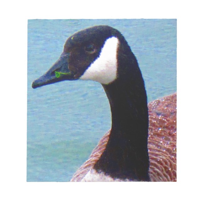 Wild Canadian Goose Notepad (Front)