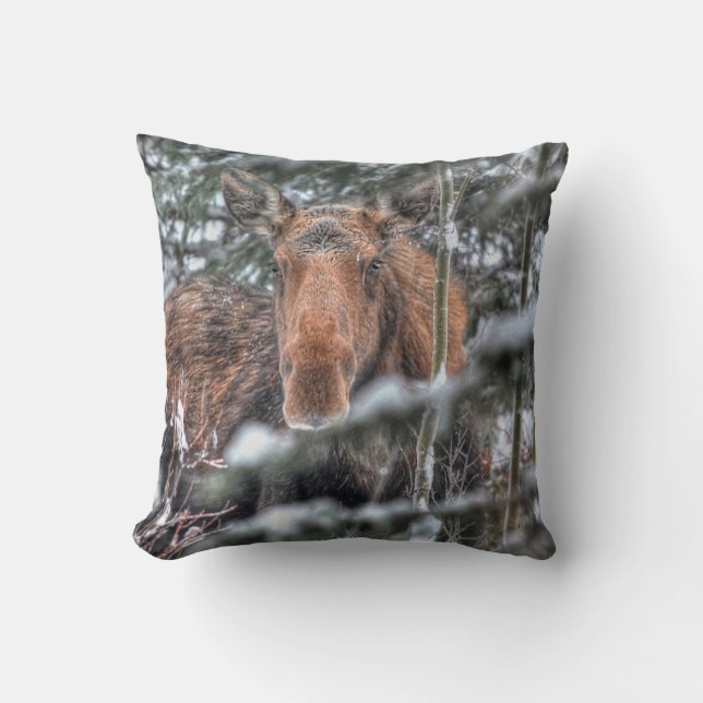 Wild Canadian Moose Cow in Winter Forest Cushion (Front)