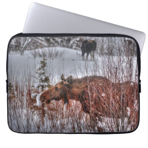 Wild Canadian Moose Cow in Winter Marsh Laptop Sleeve