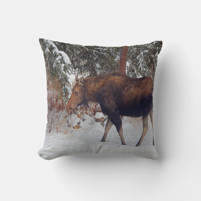 Wild Canadian Moose Cow in Winter Snow V Cushion (Front)