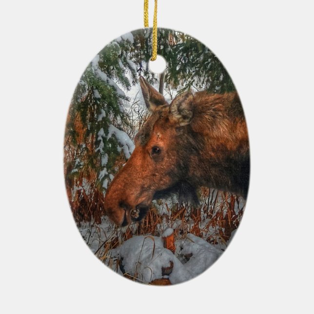 Wild Canadian Moose Grazing in Winter Forest Ceramic Tree Decoration (Back)
