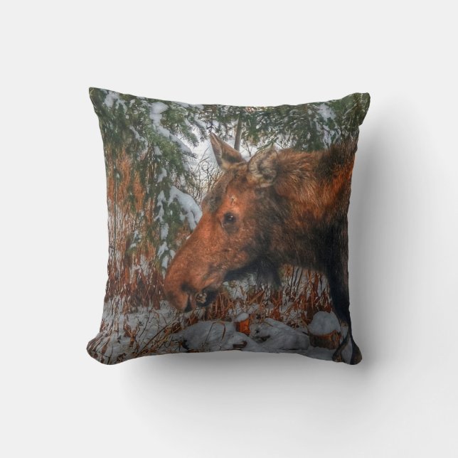 Wild Canadian Moose Grazing in Winter Forest Cushion (Front)