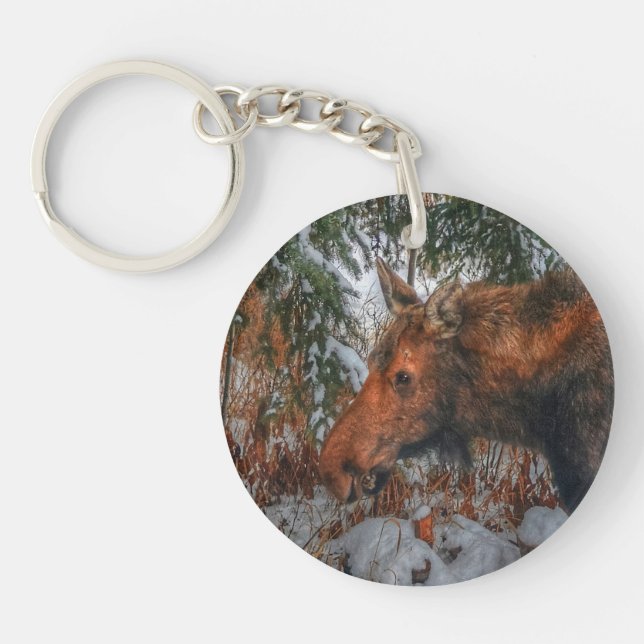 Wild Canadian Moose Grazing in Winter Forest III Key Ring (Front)