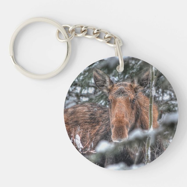Wild Canadian Moose in Winter Forest Key Ring (Front)