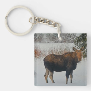Wild Canadian Moose in Winter Snow IV Key Ring