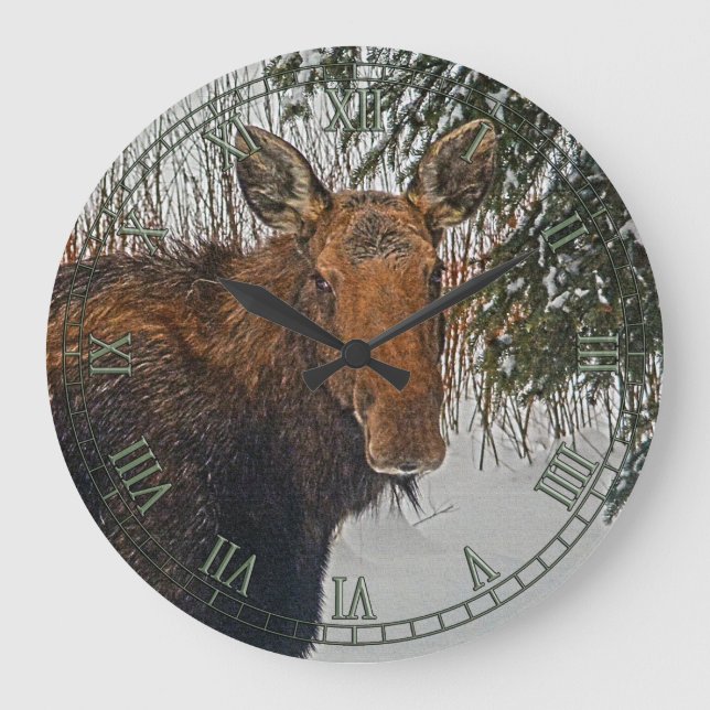 Wild Canadian Moose in Winter Snow IV Large Clock (Front)