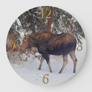 Wild Canadian Moose in Winter Snow V Large Clock