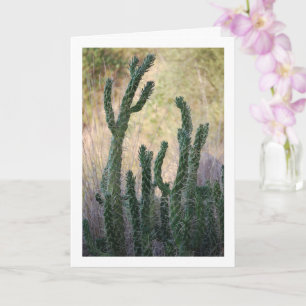 Wild Cane Cactus Card