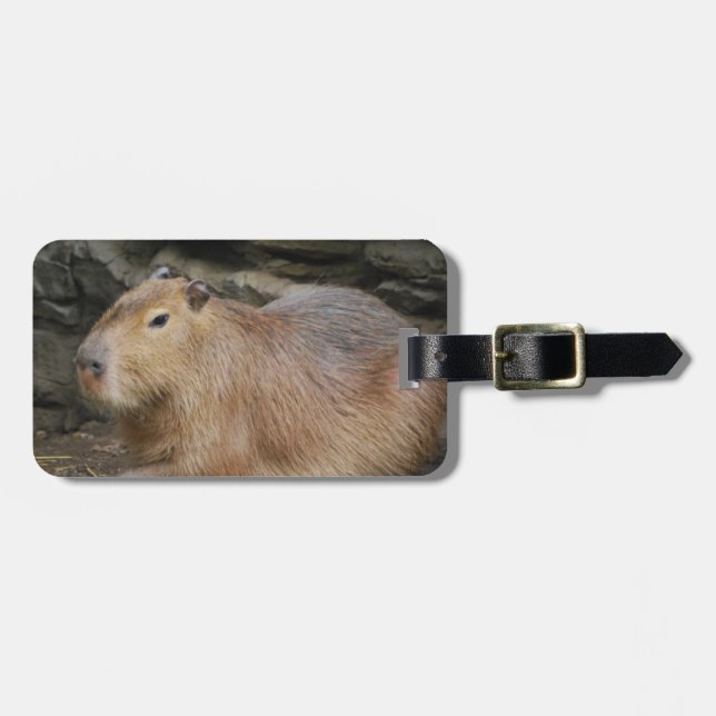 Wild Capybara Luggage Tag (Front Horizontal)