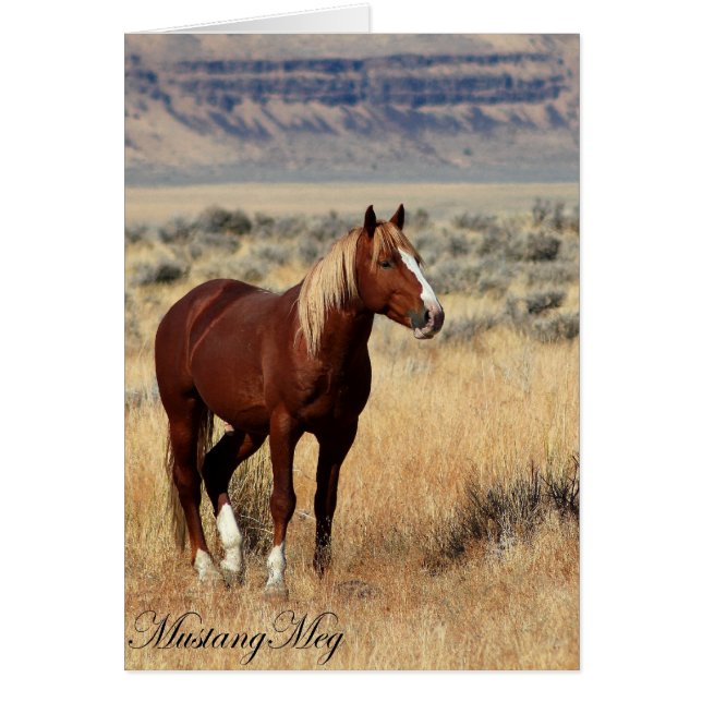 Wild Card~ Red Vogue, Band Stallion of Steens (Front)
