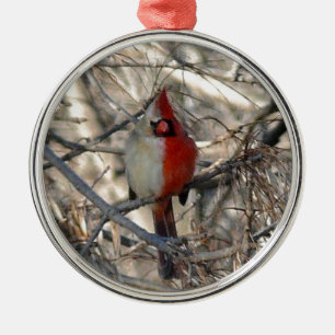 Wild Cardinal Bird Half Male, Half Female Metal Ornament