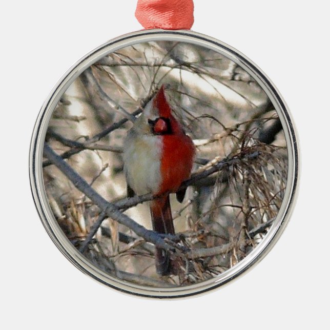 Wild Cardinal Bird Half Male, Half Female Metal Ornament (Front)