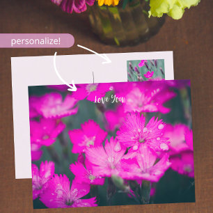 Wild carnations customisable holiday postcard