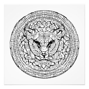 Wild Cat Energy Photo Print