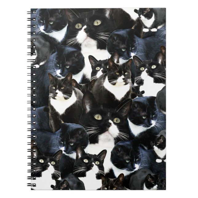 Wild Cat Madness Fun Kitty Photo Collage Art Notebook (Front)