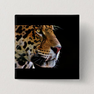 wild cat purr 15 cm square badge