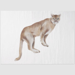 Wild Cats Series Design 2 Tissue Paper