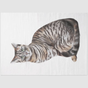Wild Cats Series Design 6 Tissue Paper